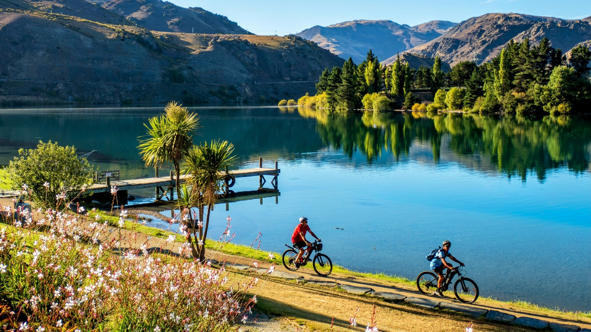 484457767 122195600102123743 8727441215929599291 n